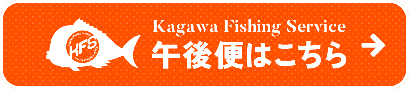 釣り船午後便